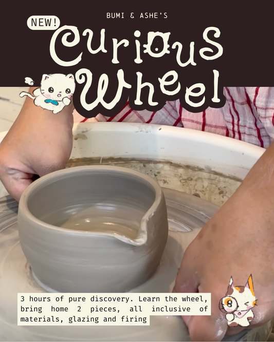 Curious Wheel: Beginner Workshop